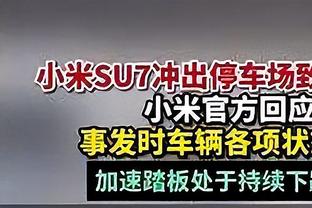 名宿：职业球员不需伊布激励就能在球场内外做好，但这取决于米兰